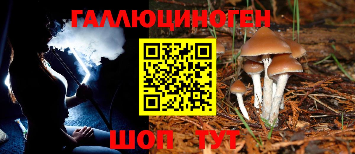 Галлюциногенные грибы MAGIC MUSHROOMS Новокубанск